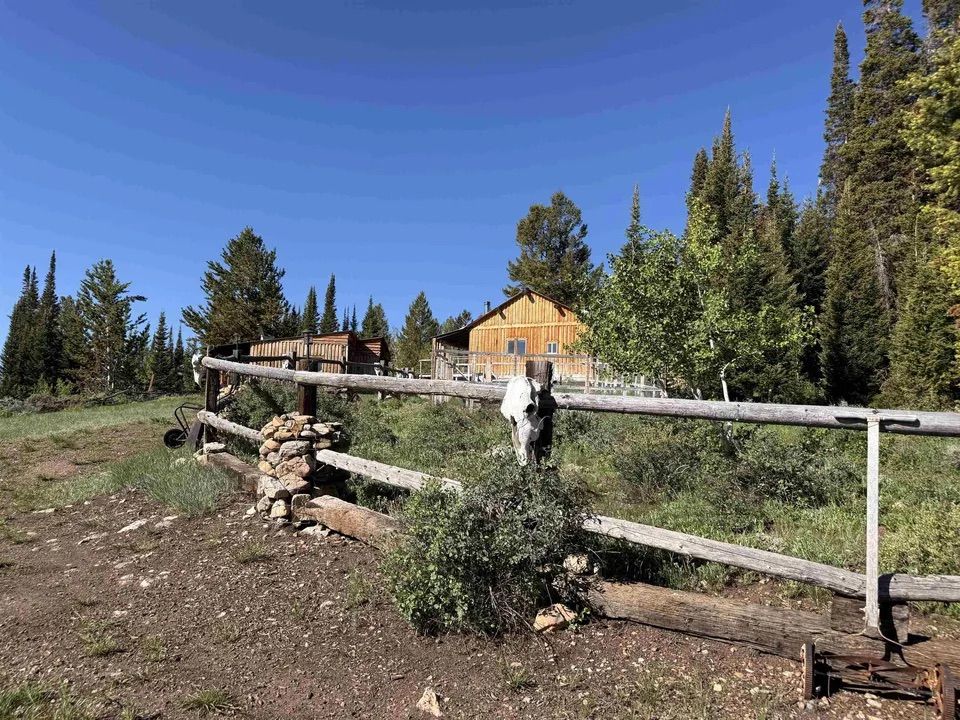 Main image 8