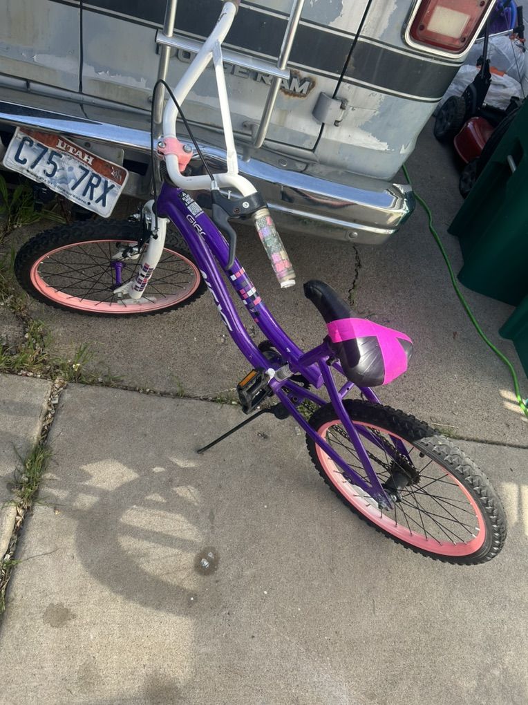 Girls 20 Inch Bike