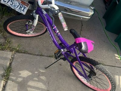 Girls 20 Inch Bike
