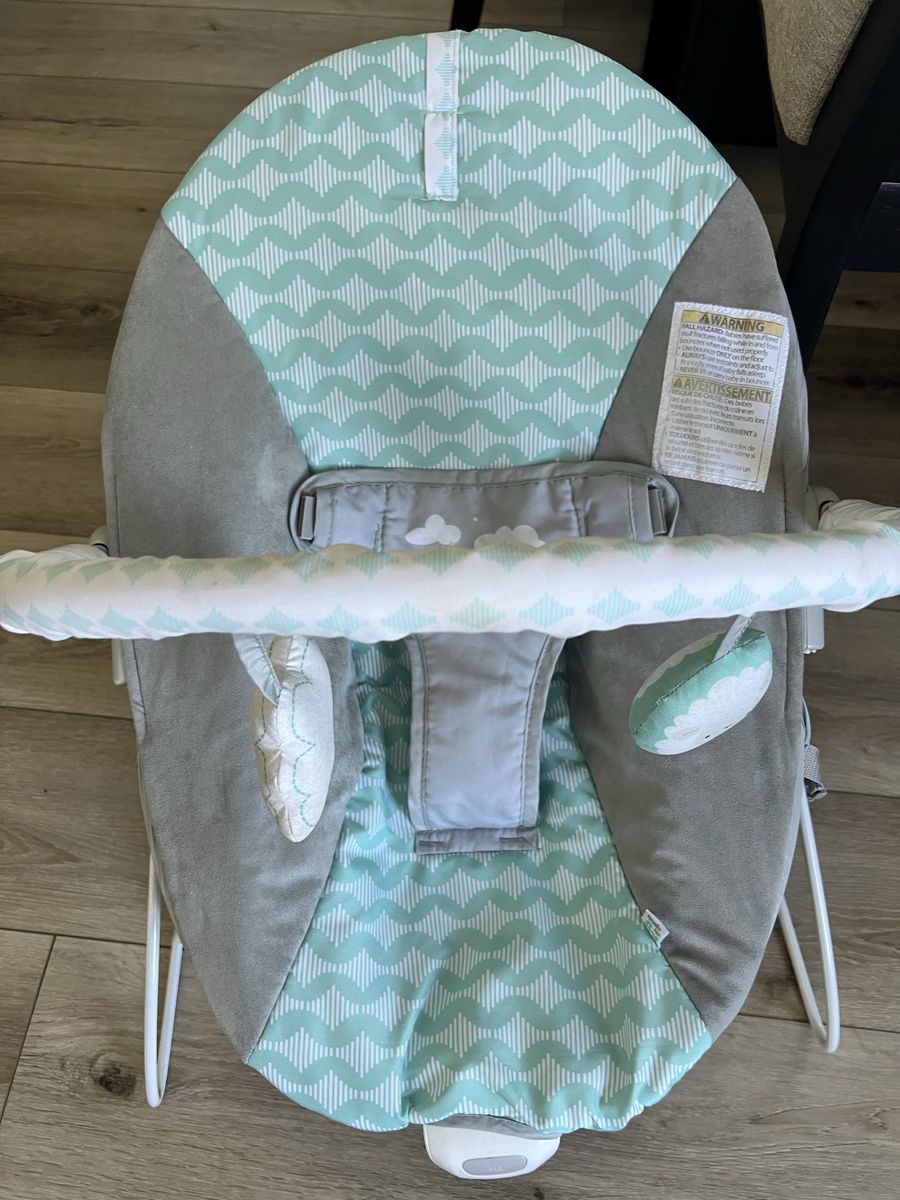 Baby Bouncer Seat 