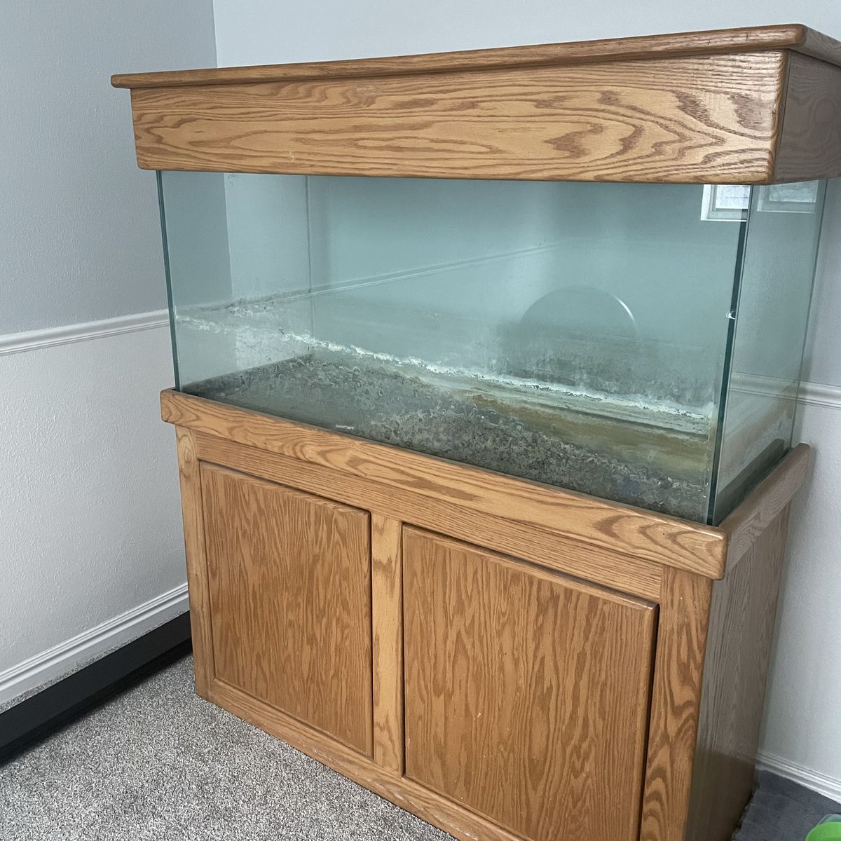 Used Fish Tank, Stand And Canopy