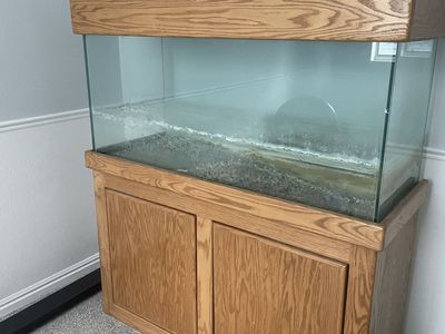 Used Fish Tank, Stand And Canopy