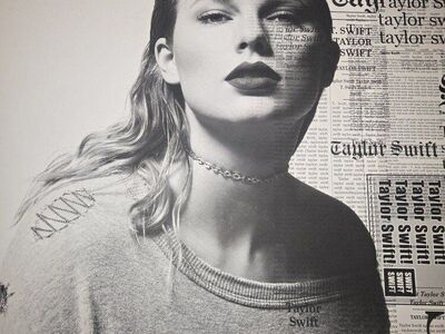 Taylor Swift Reputation Stadium Tour Collectible