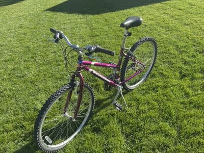 Schwinn Frontier Women’s 21-Speed Mountain Bike
