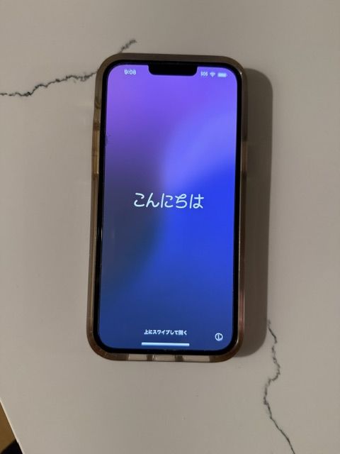 iPhone 13 Pro Max 256GB