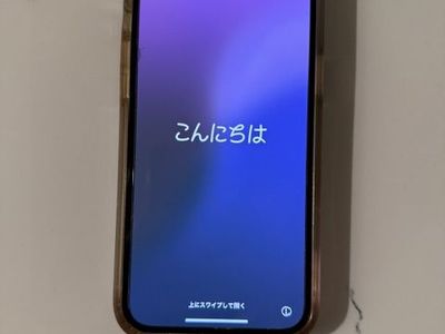 iPhone 13 Pro Max 256GB