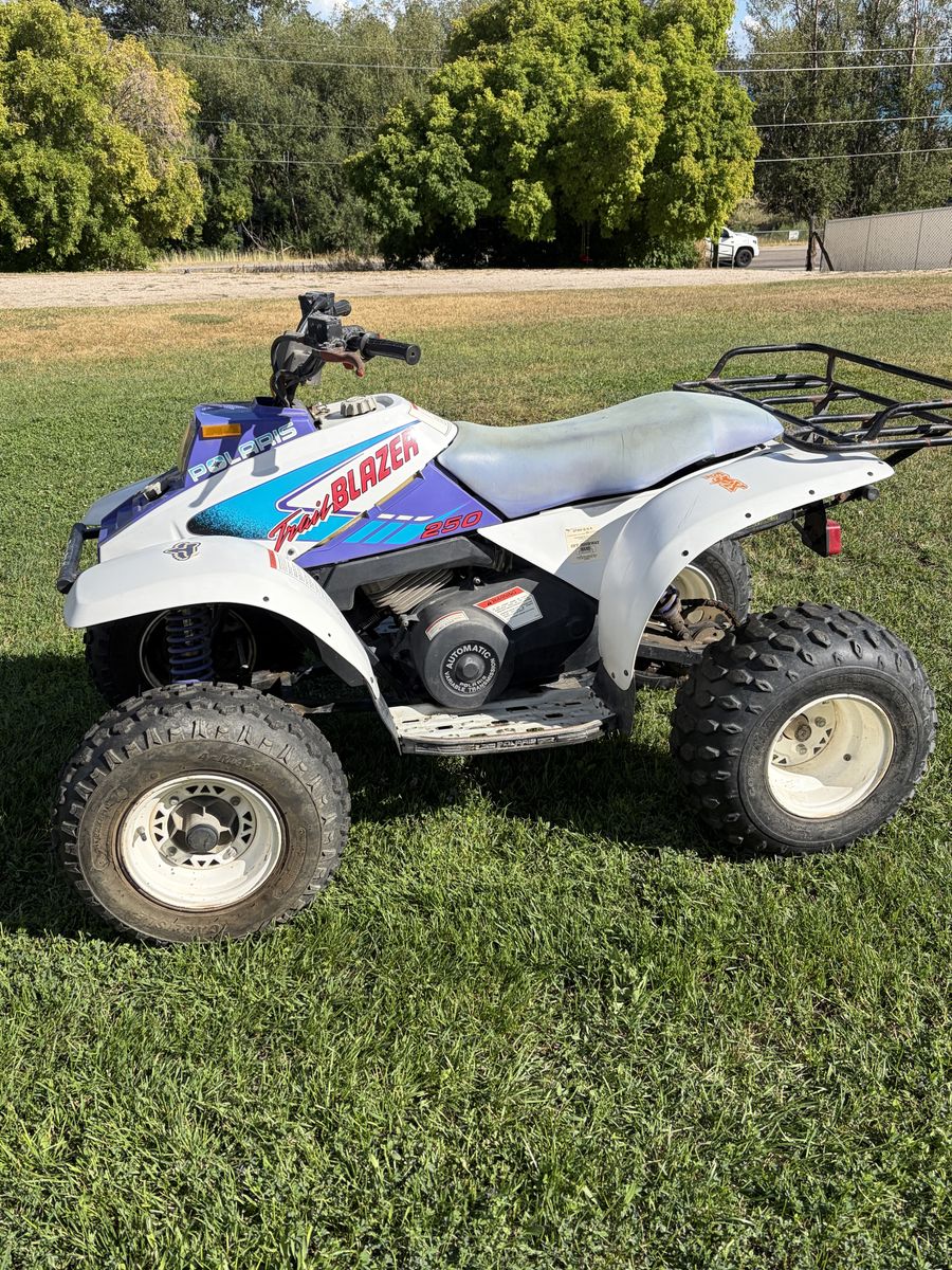 Polaris 250 Trail Blazer