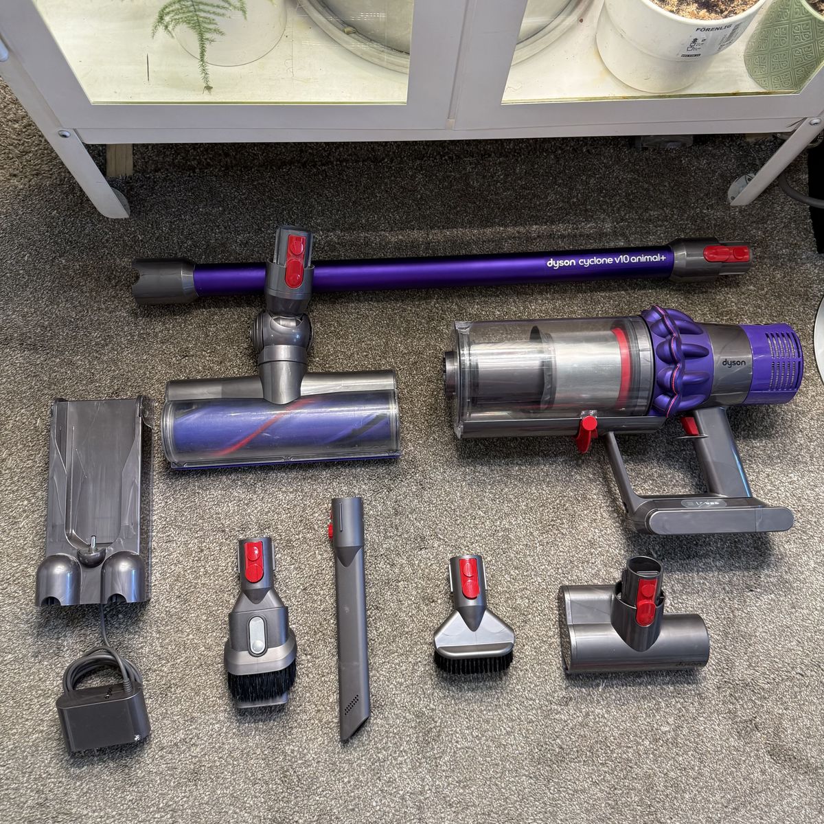 CLEAN Dyson v10 animal+ vacuum