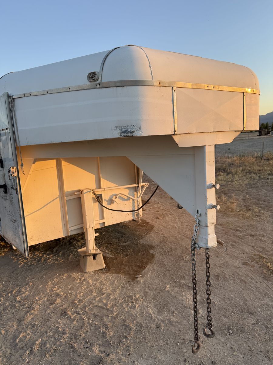 Main image 6