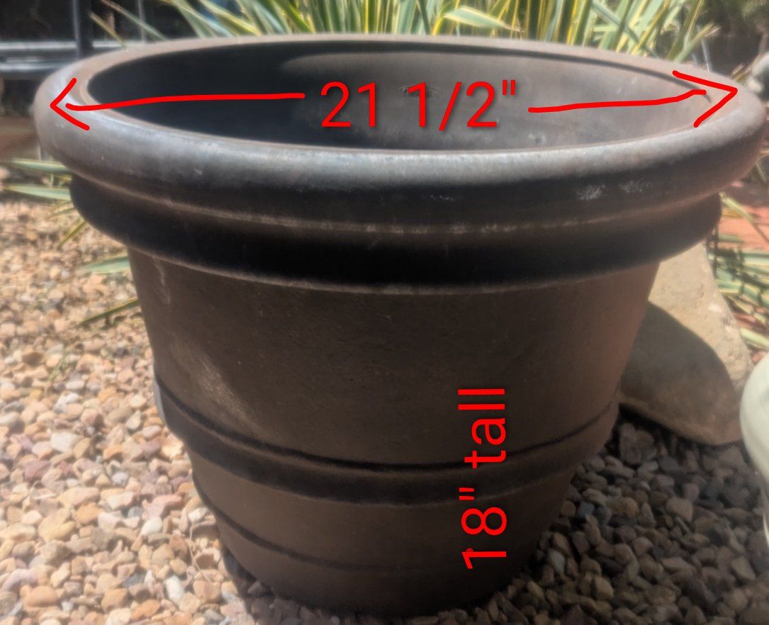 Main image 2