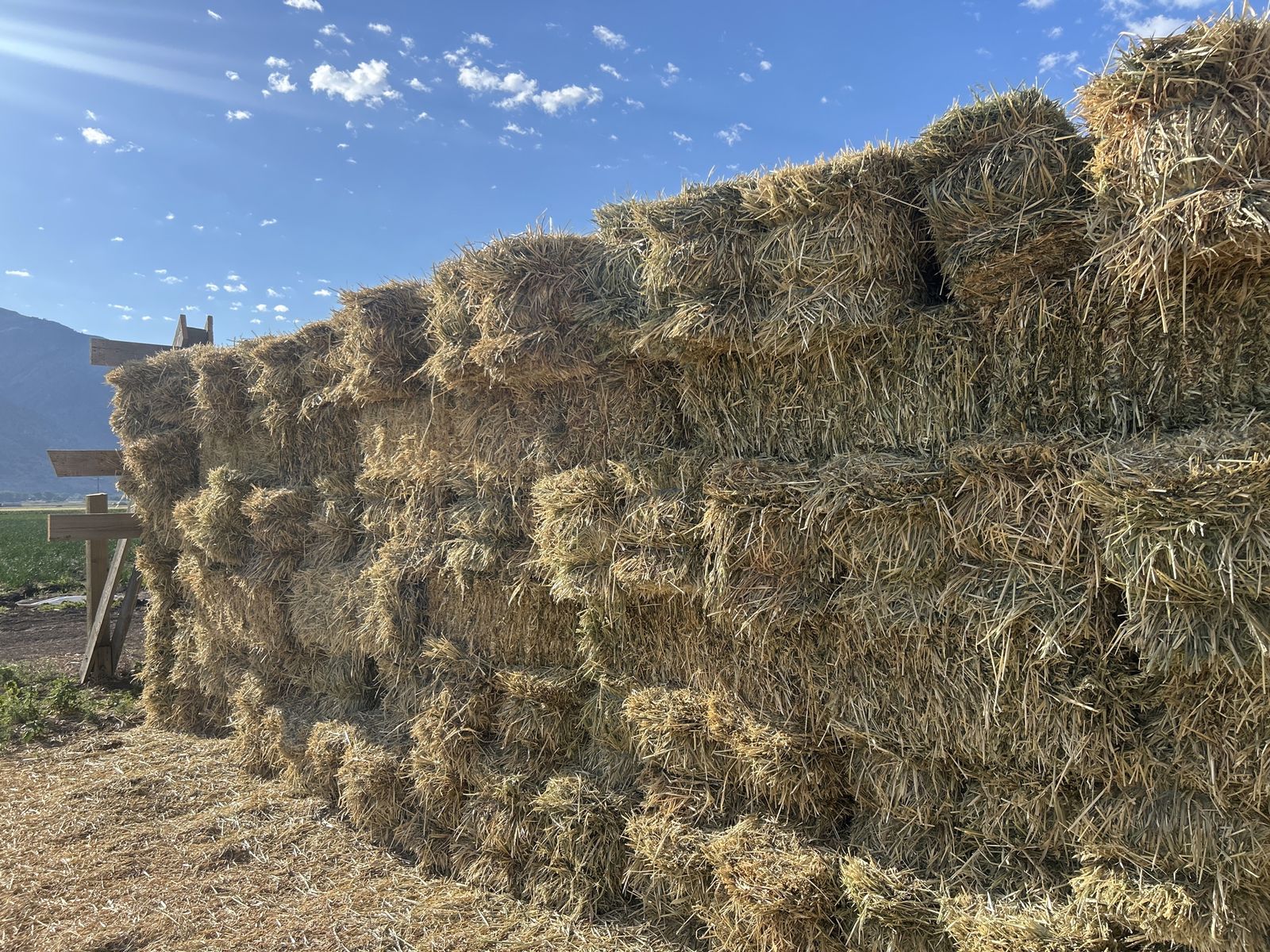 Oat Hay