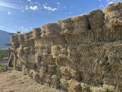 Oat Hay