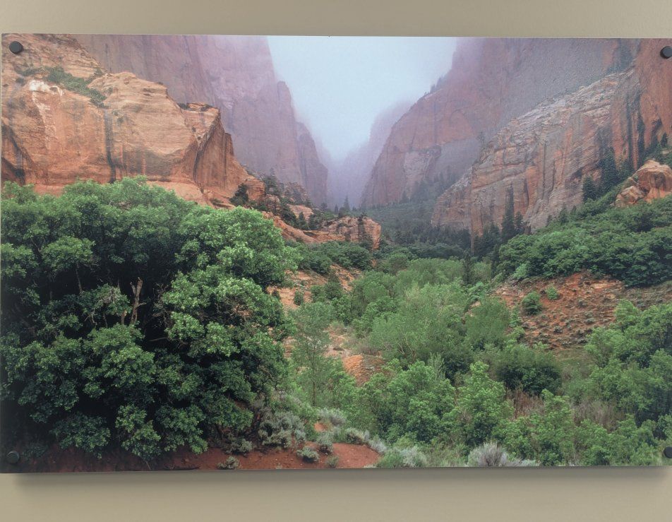 Zion National Park Canyon Landscape Photo Print Wall Art