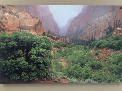Zion National Park Canyon Landscape Photo Print Wall Art