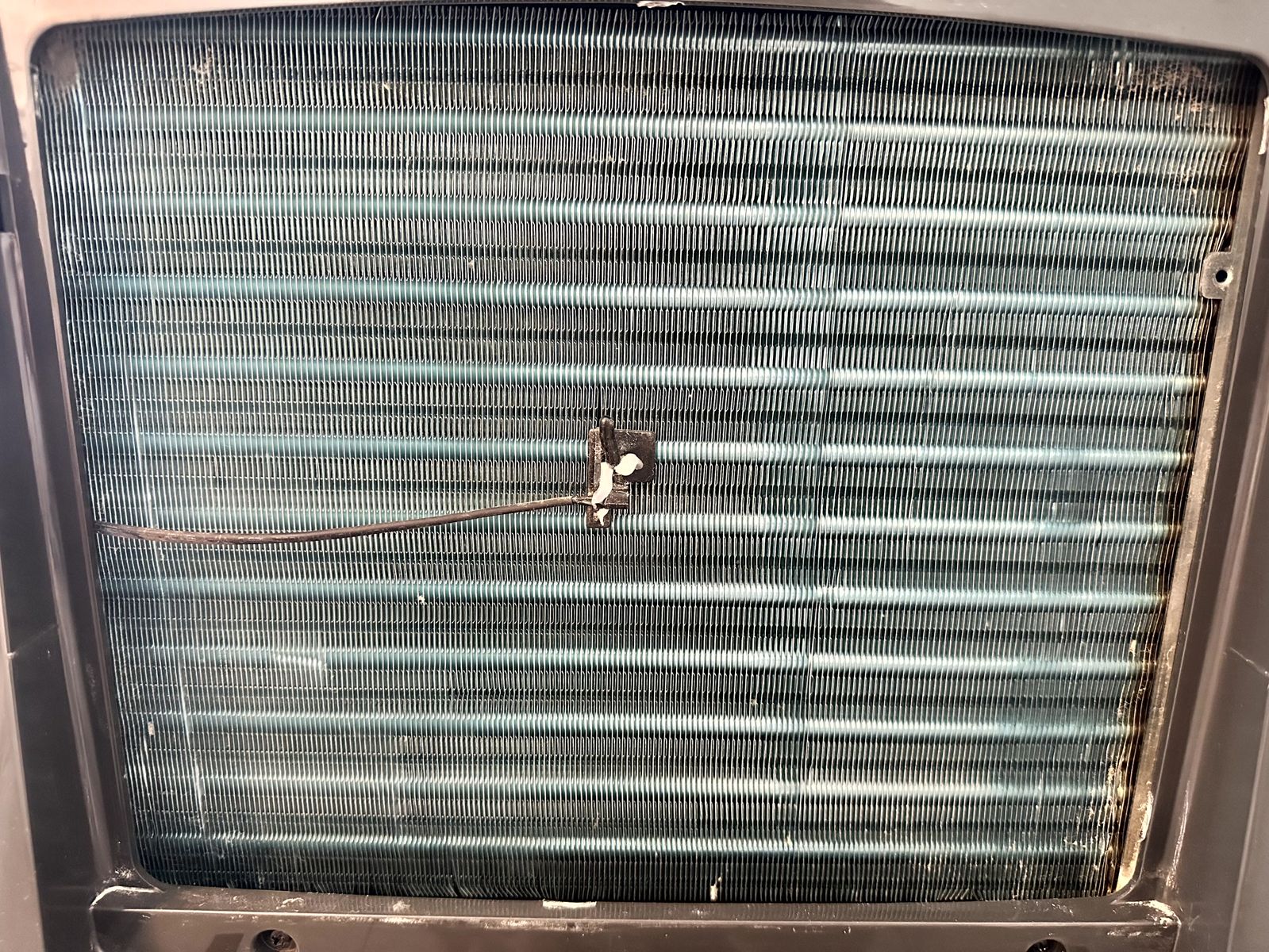 Main image 31