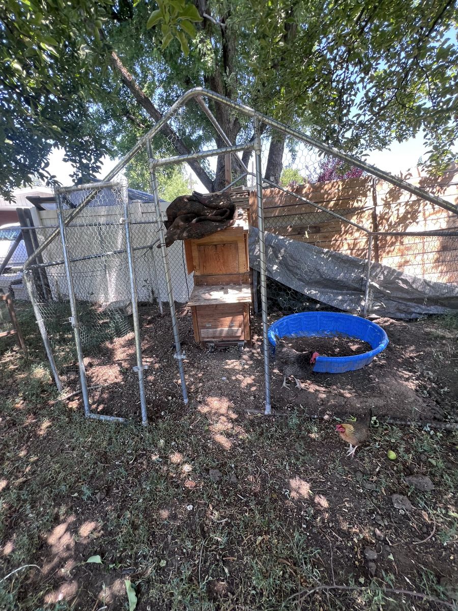 Main image 7