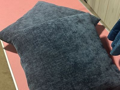 Pair of Crushed Velvet Blue Throw Pillows
