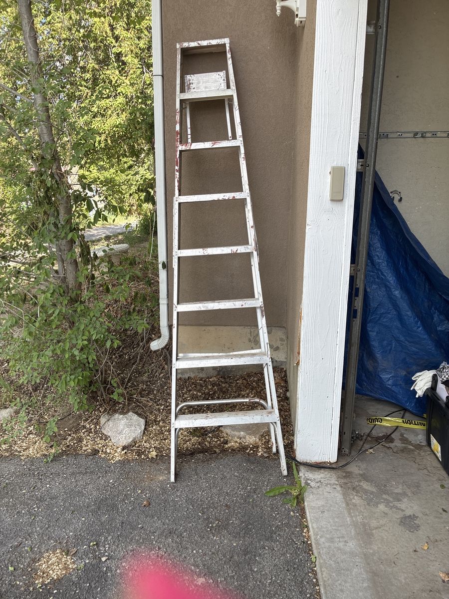 Ladder 8ft