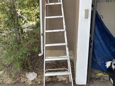 Ladder 8ft