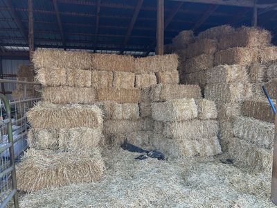 Straw - Dry for Bedding, Feed, or Decor