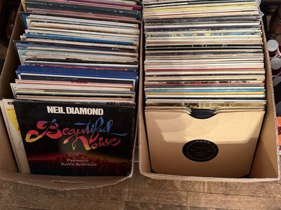 Large Lot of Vintage Vinyl Records - Neil Diamond, Ray Conniff, Arthur Fiedler - Various Genres