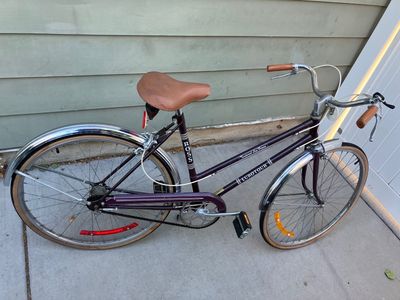 Vintage Ross Eurotour 3 Speed Bike