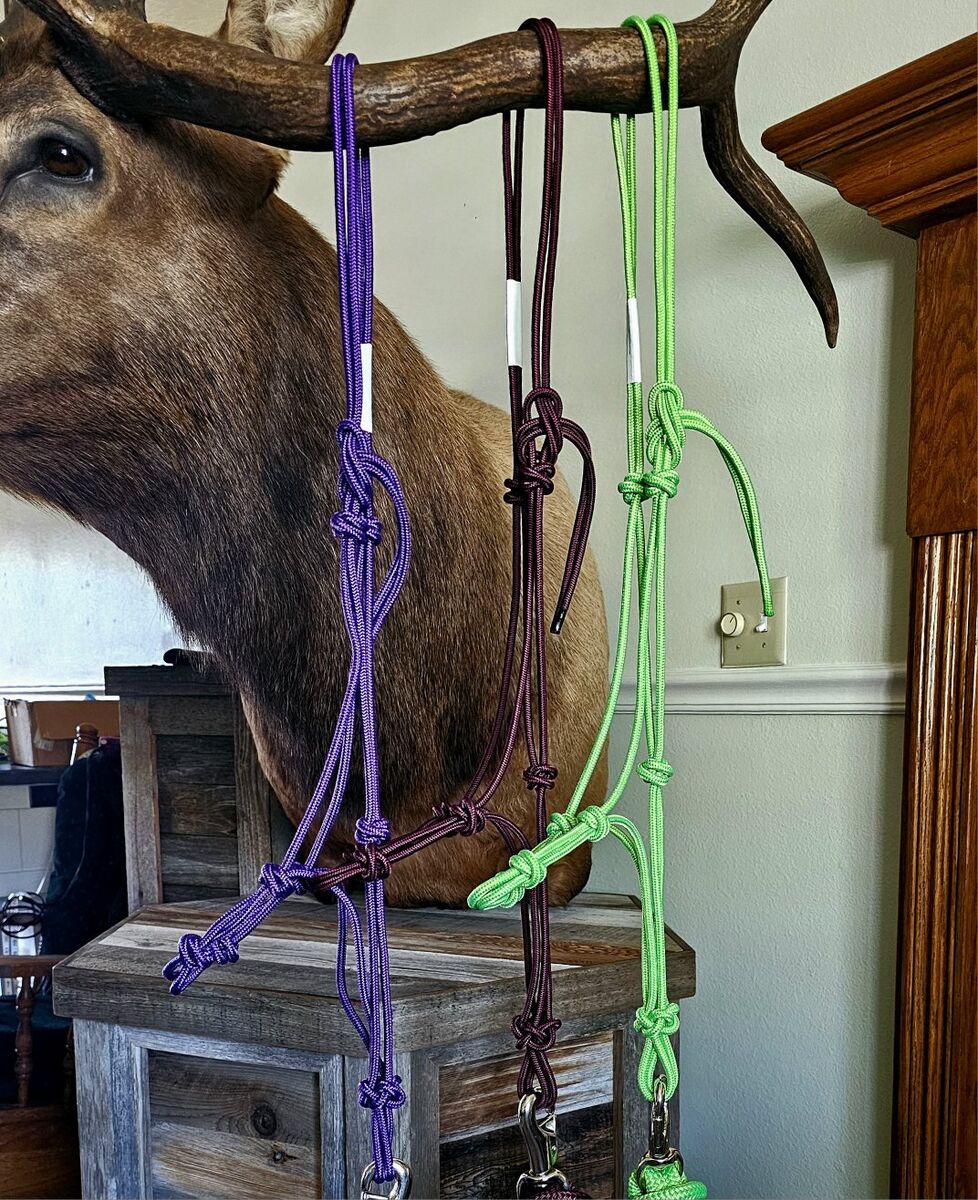 Stiff Halters - Clinician Grade