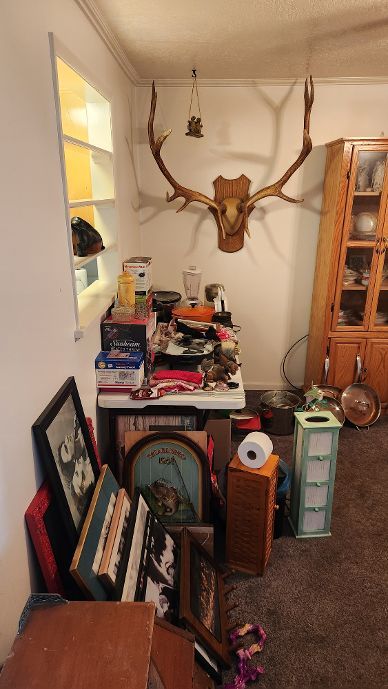 Main image 11