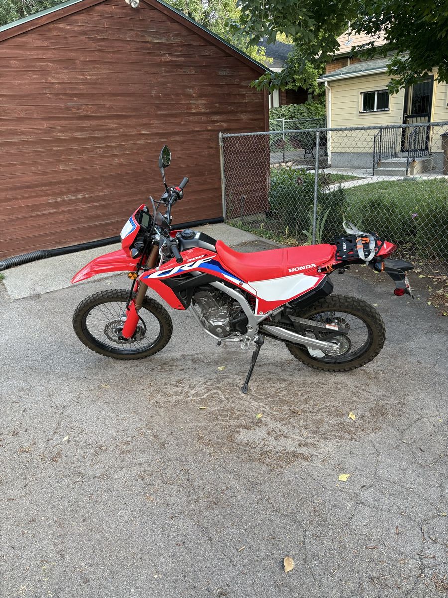 Honda CRF 300 L - 2024