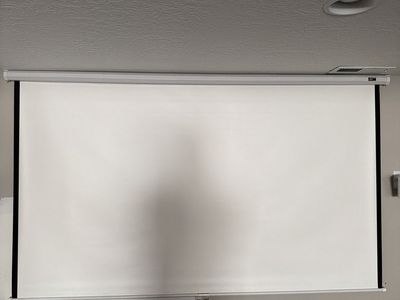 Elite Screens Pull-Down Projector Screen - White Casing
