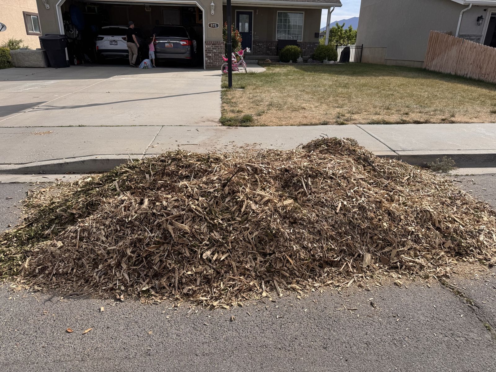 Free wood chips
