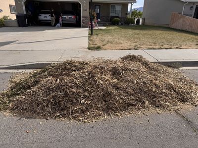 Free wood chips