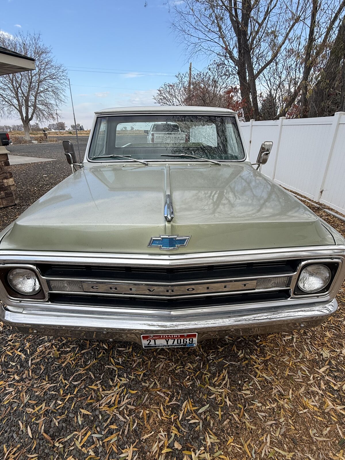 1969 Chevy C/K 10 Series C10 Silverado