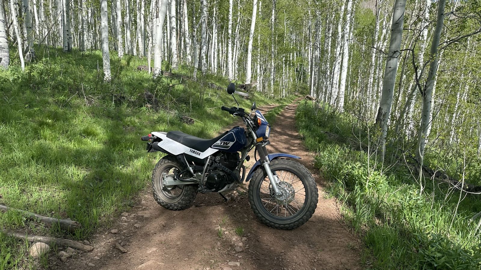 2016 TW 200