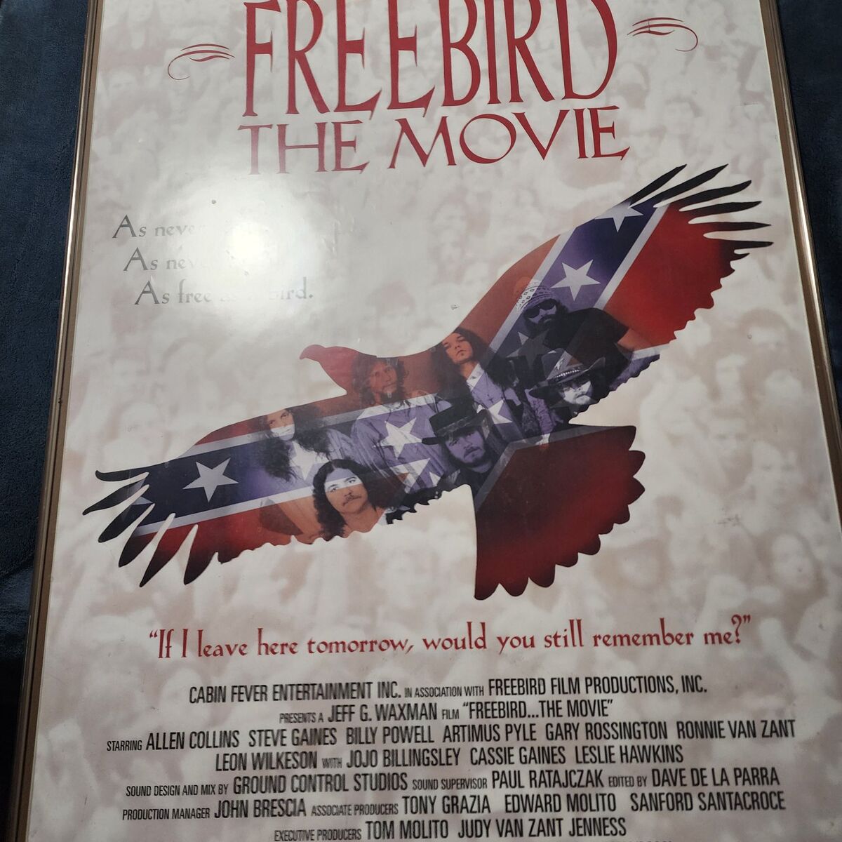 Lynyrd Skynyrd Freebird poster
