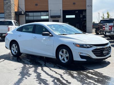 2024 Chevrolet Malibu LS Fleet