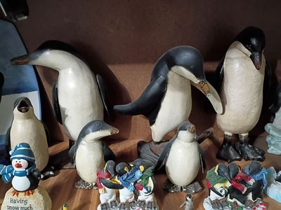 Penguin Collection