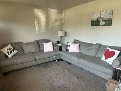 Two Gray Couches