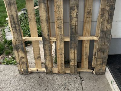 Wood Pallet
