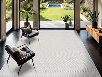 New! Micro Loop Stain Resistant Rug 6x9 Modern Luxury Bordered Area Rugs Soft High