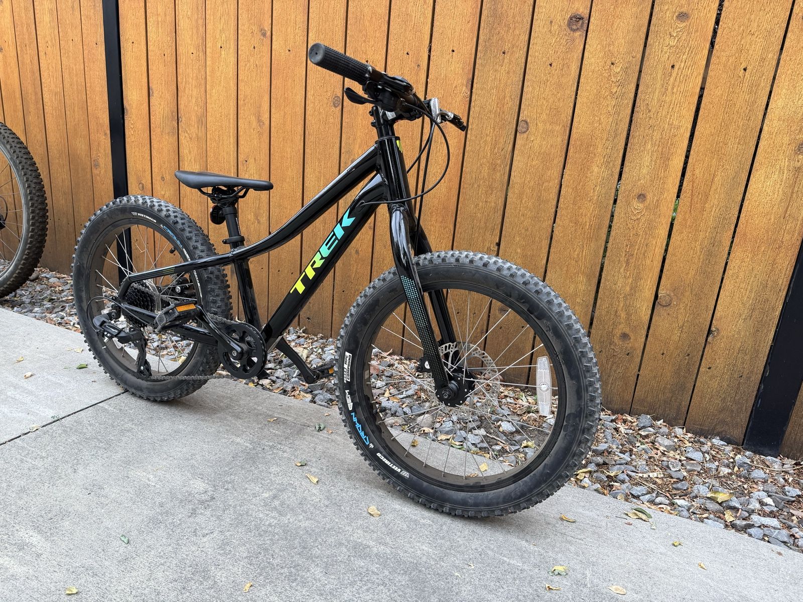 Trek Roscoe 20 Kids Mountain Bike - Black