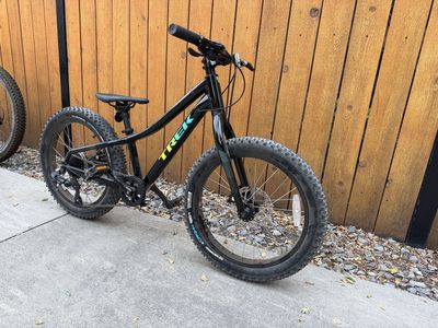 Trek Roscoe 20 Kids Mountain Bike - Black