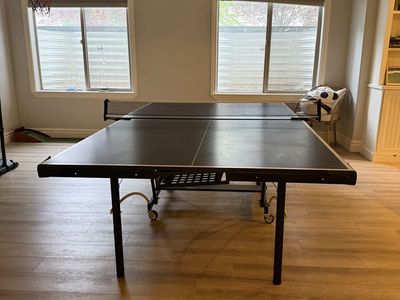 Ping pong table