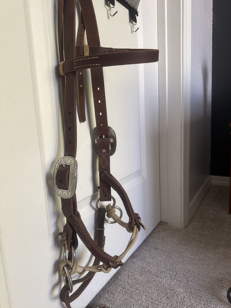 Bitless side pull bridle