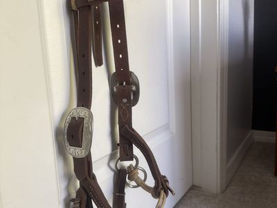 Bitless side pull bridle