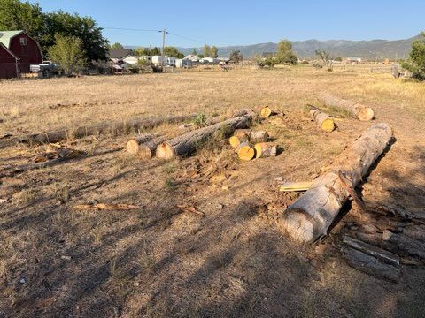 Firewood