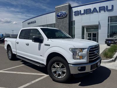 2015 FORD F150 XLT