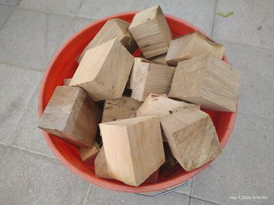 Firewood Solo Stove Hardwood
