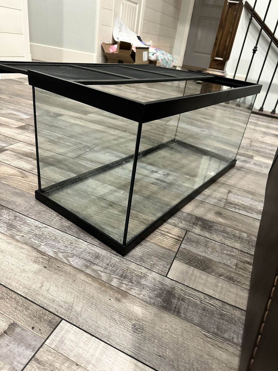 20 gallon Glass Reptile Tank with Mesh Top