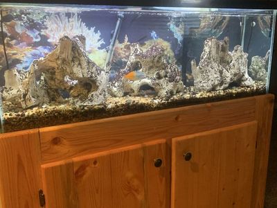 Aquarium